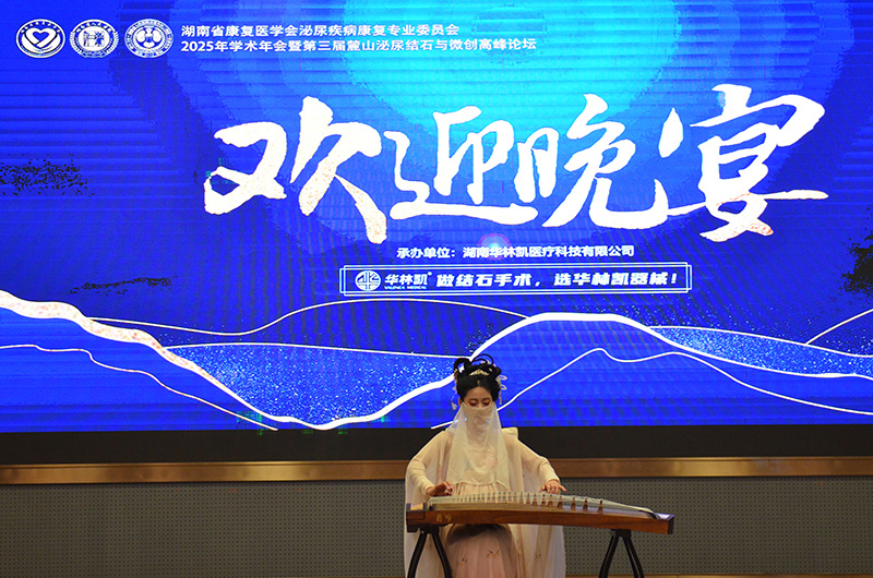 古箏表演