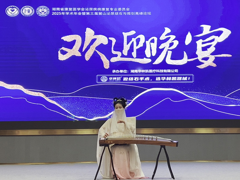 古箏表演